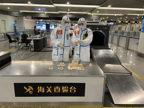 警惕！回蓉旅客攜帶象牙手鐲被成都海關查獲，教學模型制造需守法規